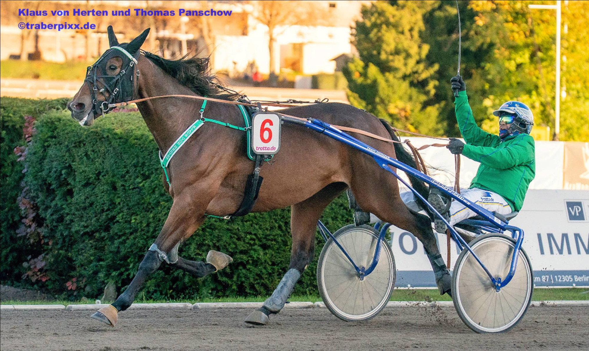 Klaus von Herten mit Thomas Panschow im Sulky siegt in Berlin in der „Breeders Crown“.