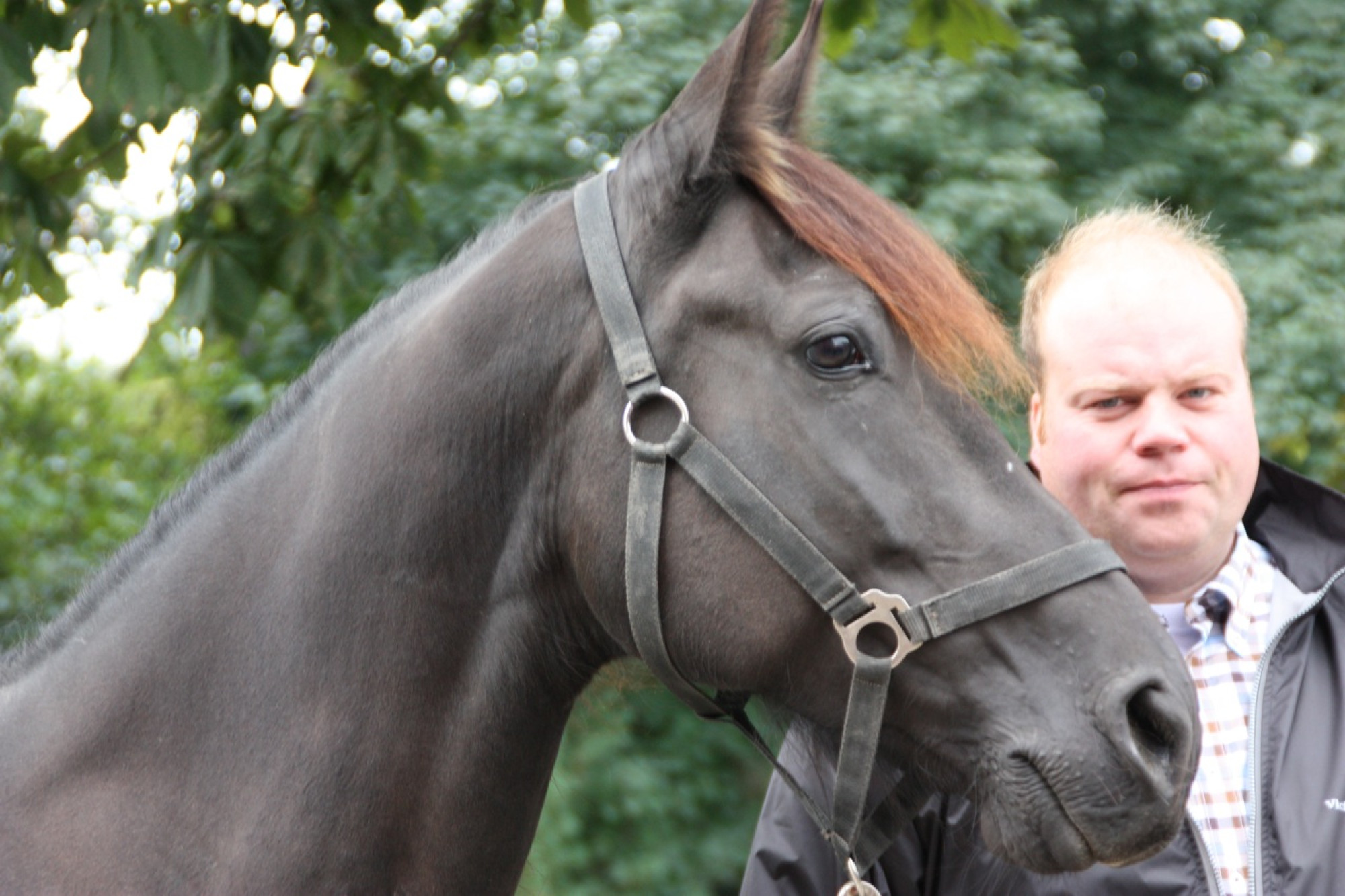 Züchter Laurenz Meßmann stellt dem Charity-Verein kostenlos die Pferde zur Verfügung.
